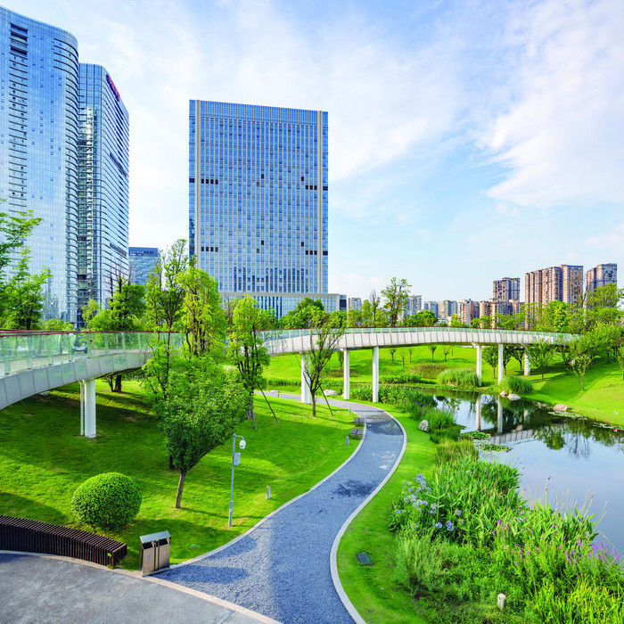 Sunny Chengdu Bridge Financial City