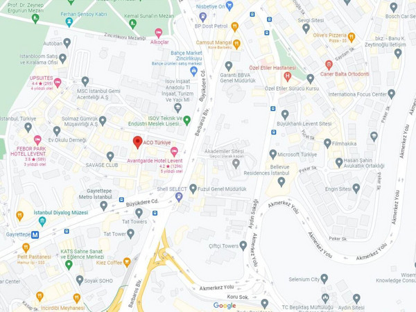 Gorsel-ACO-Turkiye-Google-Haritalar